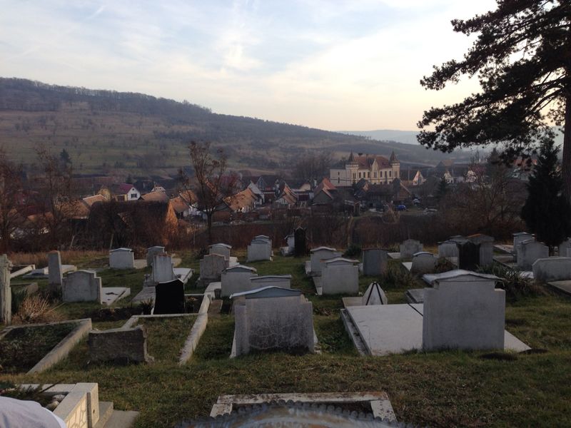 Image 6 of 37  -  92 kB